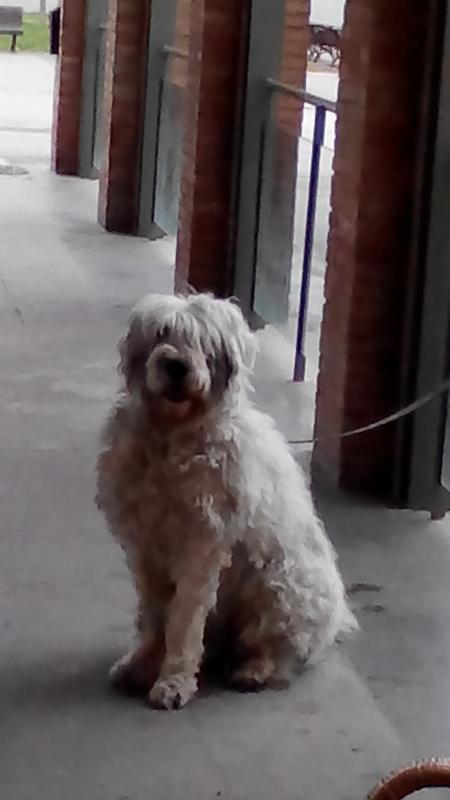 Nombre:  IMG_20131029_144452.jpg
Visitas: 363
Tama�o: 31.3 KB