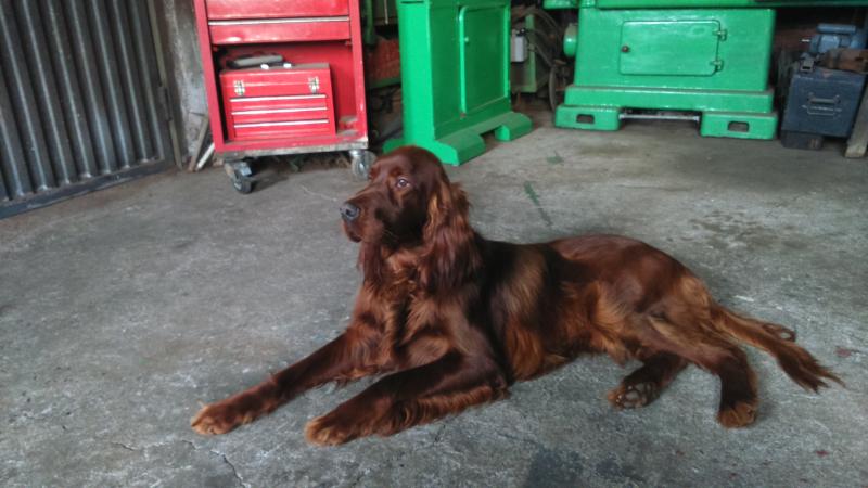 Nombre:  DSC_0081.jpg
Visitas: 523
Tama�o: 52.9 KB