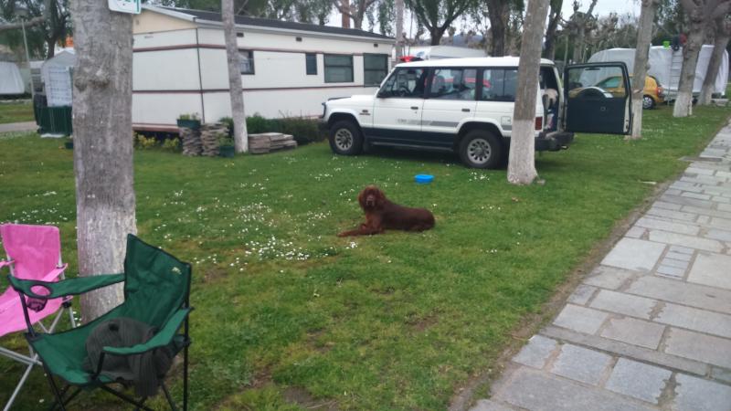 Nombre:  DSC_0117.jpg
Visitas: 425
Tama�o: 61.3 KB