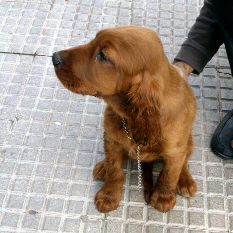 Nombre:  IMG-20131204-WA0001.jpg
Visitas: 508
Tama�o: 92.2 KB