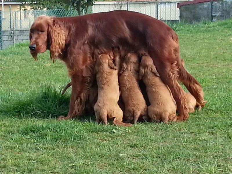 Nombre:  IMG-20131109-WA0000.jpg
Visitas: 547
Tama�o: 91.5 KB