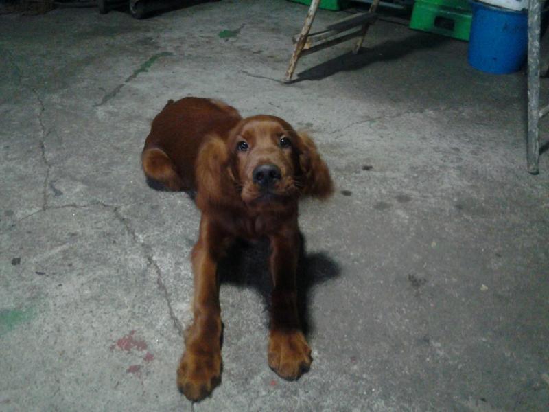 Nombre:  2014-01-13 16.04.23.jpg
Visitas: 534
Tama�o: 57.8 KB