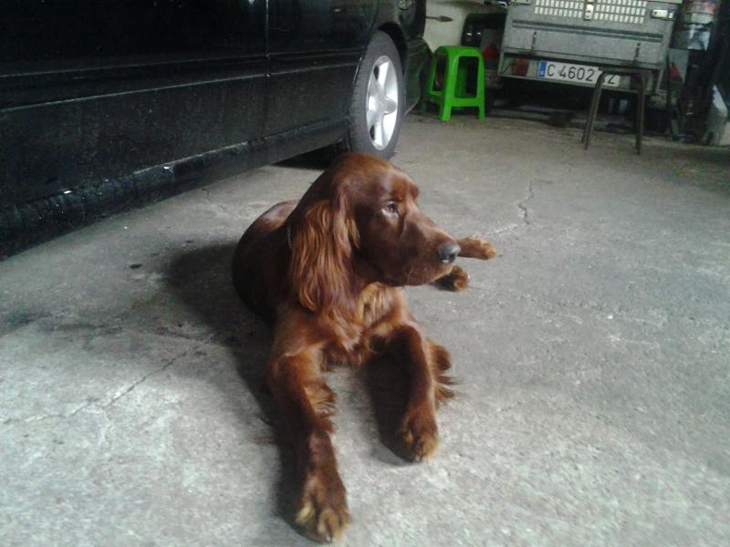 Nombre:  2014-09-15 10.38.22.jpg
Visitas: 462
Tama�o: 60.3 KB