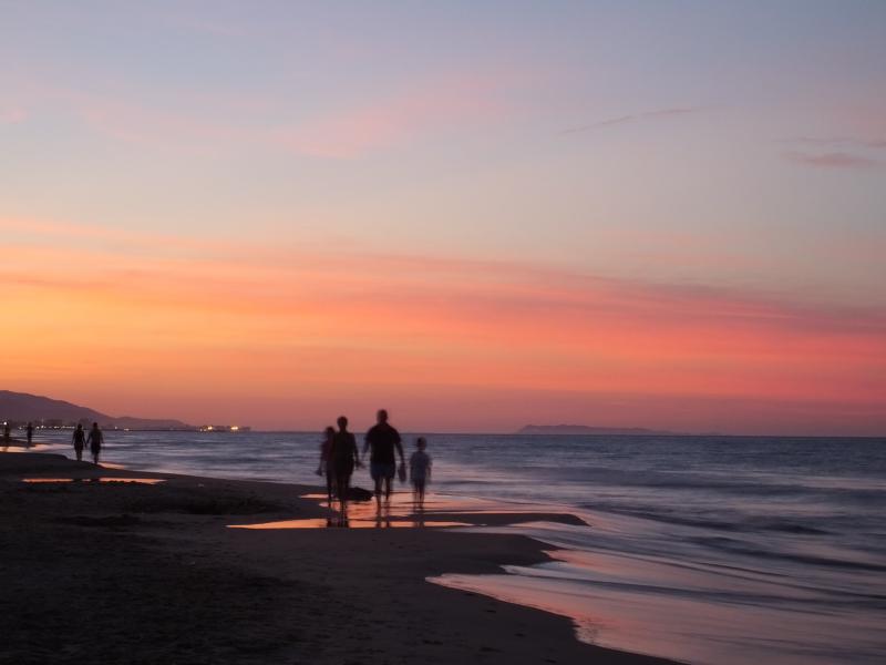 Nombre:  Oliva 2015 (158).jpg
Visitas: 356
Tama�o: 30.1 KB