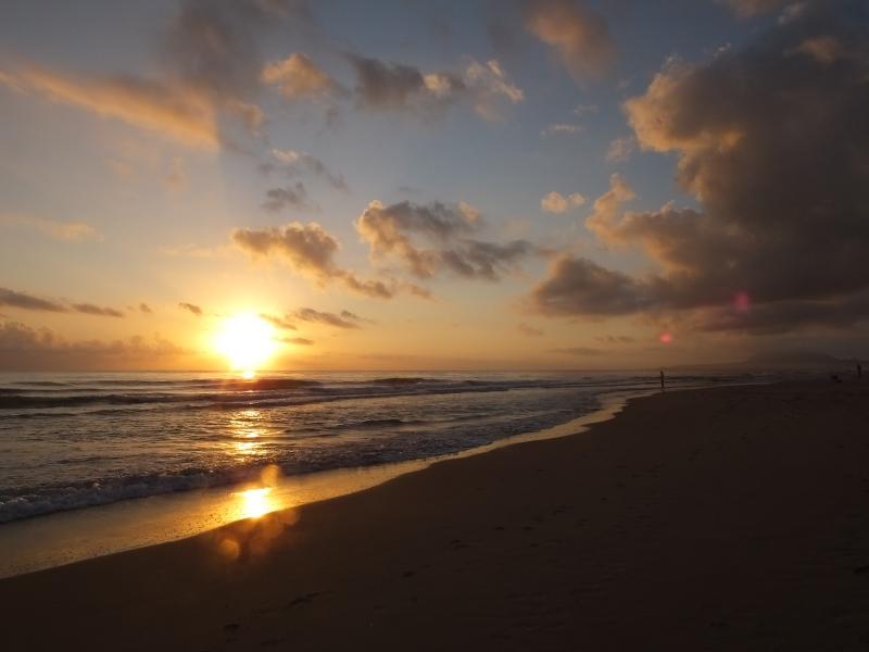 Nombre:  Oliva 2015 (280).jpg
Visitas: 265
Tama�o: 32.5 KB