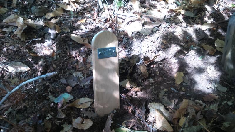 Nombre:  DSC_0501.jpg
Visitas: 315
Tama�o: 84.1 KB