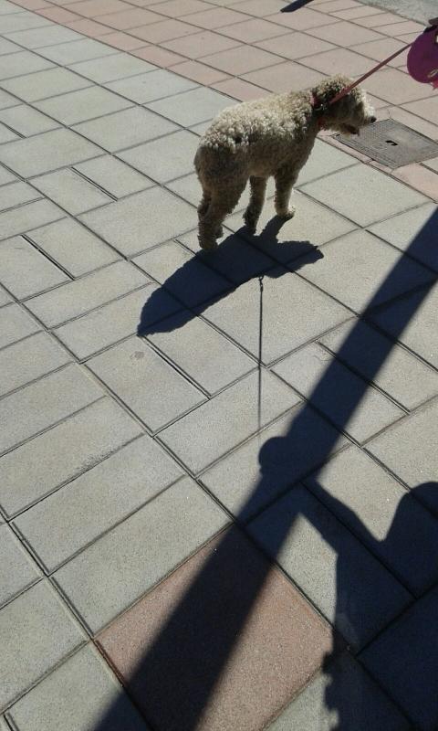 Nombre:  IMG-20160301-WA0002.jpg
Visitas: 466
Tama�o: 59.8 KB