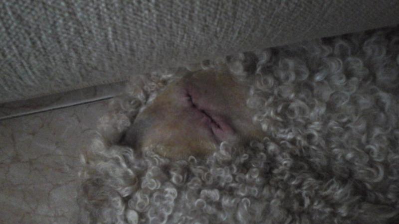 Nombre:  20160303_180040.jpg
Visitas: 432
Tama�o: 39.3 KB