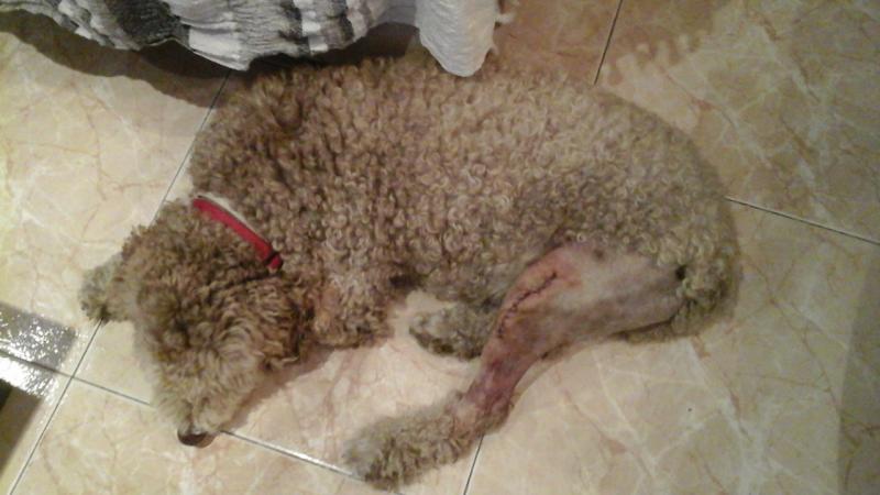 Nombre:  20160307_211340.jpg
Visitas: 436
Tama�o: 46.2 KB