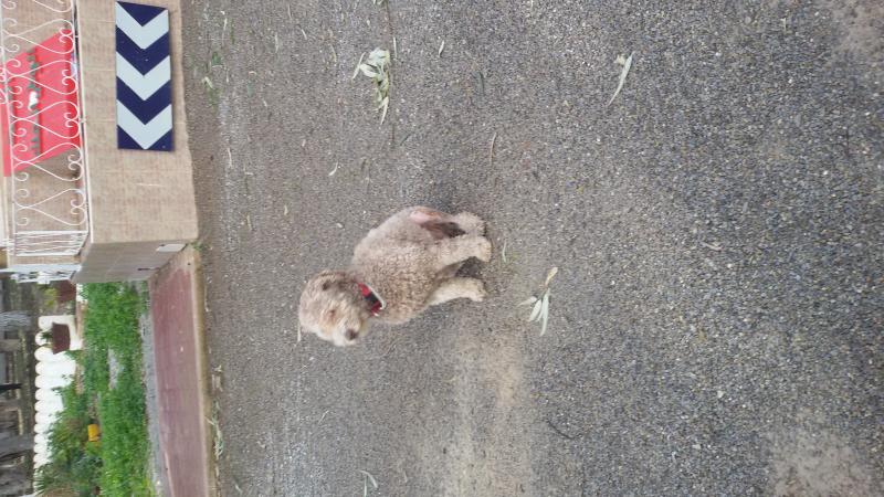 Nombre:  IMG-20160310-WA0000.jpg
Visitas: 475
Tama�o: 83.5 KB