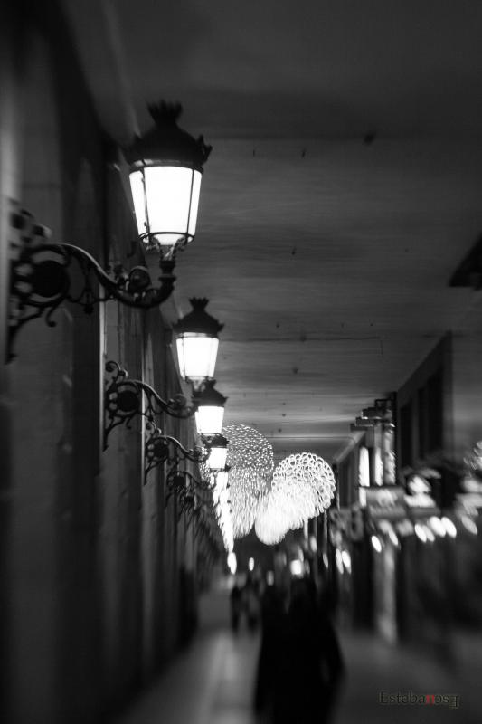 Nombre:  IMG_5680f.jpg
Visitas: 326
Tama�o: 34.8 KB