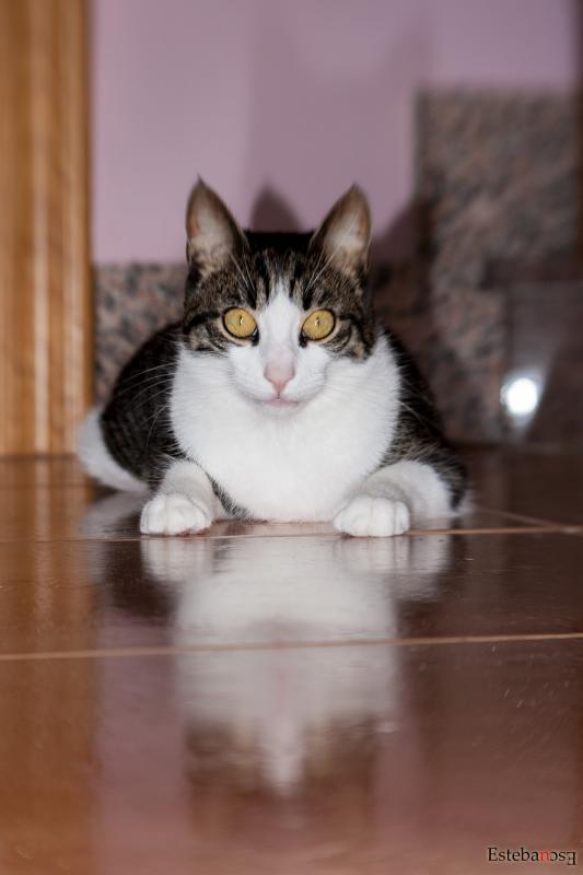 Nombre:  IMG_5819f.jpg
Visitas: 297
Tama�o: 32.6 KB