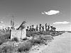 Clic en la imagen para ver su versi�n completa.&nbsp;

Nombre: b Epecuen (26).jpg&nbsp;
Visitas: 127&nbsp;
Tama�o: 68.3 KB&nbsp;
ID: 155807
