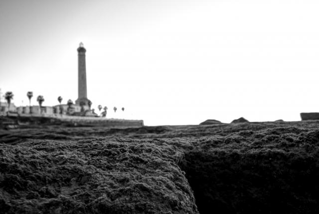 Nombre:  _MG_1099_100_101_fused.jpg
Visitas: 232
Tama�o: 28.9 KB