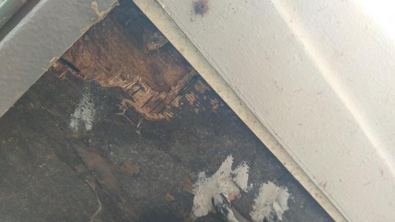 Nombre:  IMG_20180511_180348.jpg
Visitas: 152
Tama�o: 39.8 KB