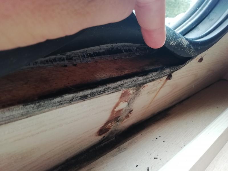 Nombre:  IMG_20180805_105937.jpg
Visitas: 678
Tama�o: 44.1 KB