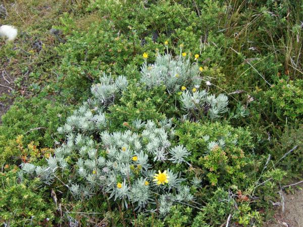 2007 1220argentina20254

Patagonia