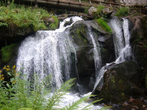 verano2005 108

Cataratas  de Waldhausen