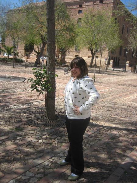 Viso del Marqu�s  "El Marqu�s de Santacruz se hizo un palacio en el Viso porque pudo y porque quiso"